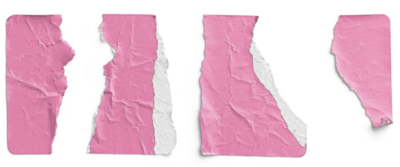 Pink Sticker Torn into Four Irregular Strips