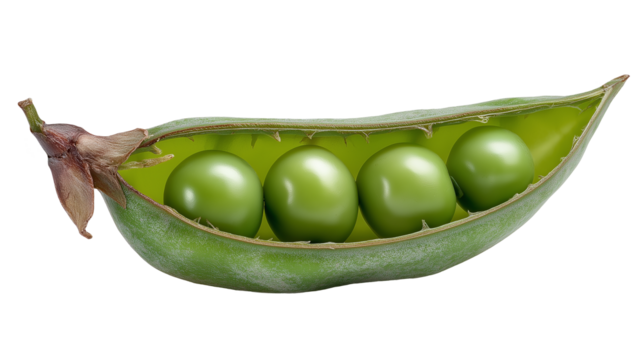 Peas in half open pod isolated on white and trasparent background, cut out png