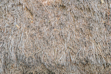 Close-up of a thatched roof structure in an ancient Central European village, featuring earthy tones and reed-like materials. a