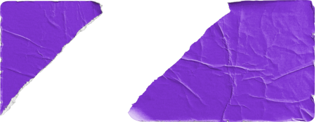 Purple Torn Sticker in Two Pieces isolated on transparent background