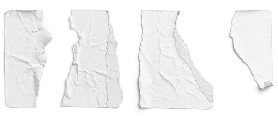 White Sticker Torn into Four Irregular Strips