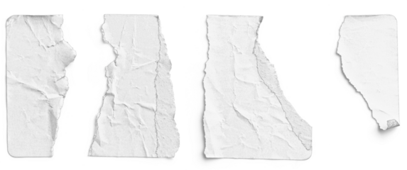 White Sticker Torn into Four Irregular Strips