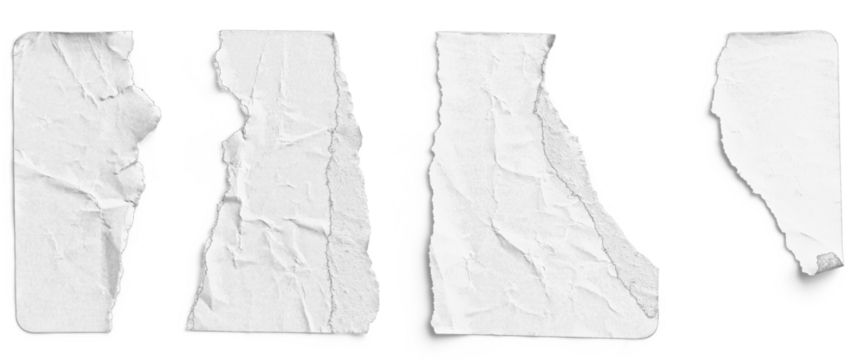 White Sticker Torn into Four Irregular Strips