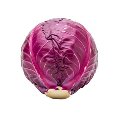 Cabbagehead of ripe red cabbage isolated on transparent background