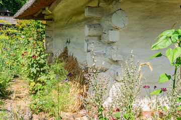 Ancient Central European village scene Thatched roof structure, weathered and cracked, possibly a...