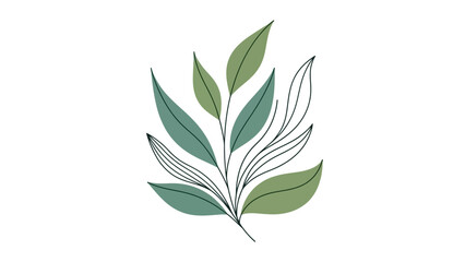 Fototapeta premium Elegant botanical illustration of a delicate plant branch with green leaves.