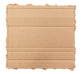 Piece of torn cardboard on a white background. Torn cardboard isolate