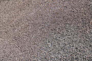Close-up of a textured, greyish-brownblack surface with irregular seeds or grains in an ancient Central European village. a