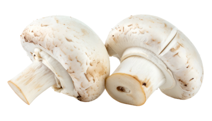 Two fresh, white button-shaped fungi set against a transparent black background