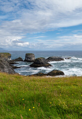 Arnarstapi basalt rocks  in atlantic ocean in Iceland