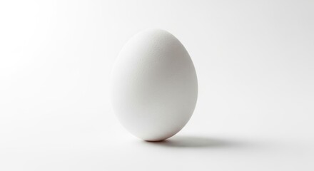 Single White Egg Standing Upright on a Clean White Background with Subtle Shadow.