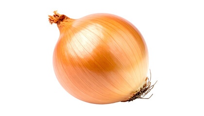 Close-up of a perfectly formed, golden-brown bulb vegetable on a transparent background