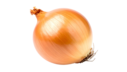 Close-up of a perfectly formed, golden-brown bulb vegetable on a transparent background