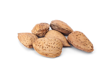 Group of six Raw almonds with thick shells food for pets, birds and rodents guinea pigs, hamsters, squirrels, or any grain-eating pet isolated on white background.