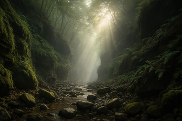 Sunlight streams through a misty forest canyon, creating a magical atmosphere.