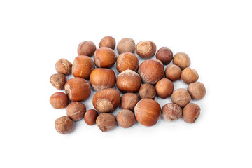 Pile of unroasted fresh hazelnuts, small and large in shell food for pets, birds and rodents guinea pigs, hamsters, squirrels, or any grain-eating pet isolated on white background.