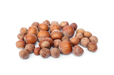 Pile of unroasted fresh hazelnuts, small and large in shell food for pets, birds and rodents guinea pigs, hamsters, squirrels, or any grain-eating pet isolated on white background.