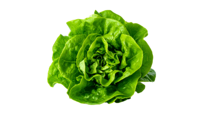 Overhead shot of a whole, vibrant, green head of lettuce against a stark black background