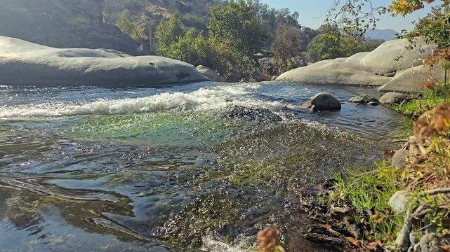The Tule river flowing over rocks surrounded by lush greenery.