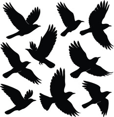 set of silhouettes of birds