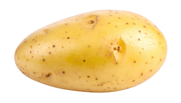 Isolated, fresh, light-colored root vegetable with minor surface blemishes against black