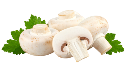 Close-up composition of white button fungi with fresh green leafy herbs against a stark background