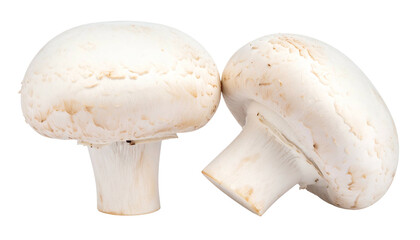 Two fresh, white button mushrooms, one upright, the other tilted, on a transparent background