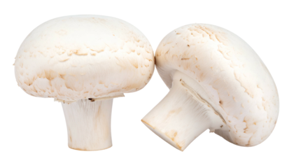 Two fresh, white button mushrooms, one upright, the other tilted, on a transparent background