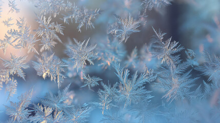 Delicate fine frost patterns on glass window 