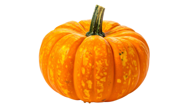 A vibrant, small, round, orange pumpkin with a textured surface on a plain black background