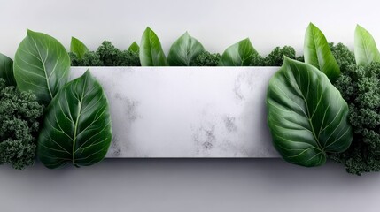 Two white boards with vibrant green leaves composition of dual white boards adorned with fresh green foliage