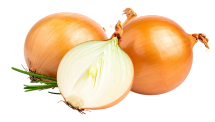 Three onions, one sliced, with green sprig. Whole bulbs with outer brown skins, and white flesh