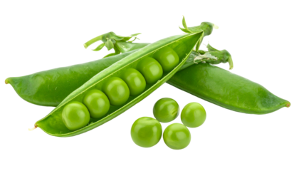 Close-up of open pea pod, revealing bright green peas on a black transparent background