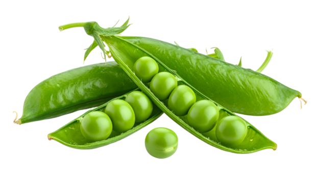 Close-up of green pea pods, one open revealing plump peas, against a black background