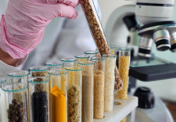 Scientist conducting an experiment with various samples in test tubes during a lab session concept