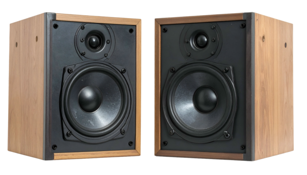 Two wooden-cased speakers, each featuring a large woofer and tweeter, isolated on white
