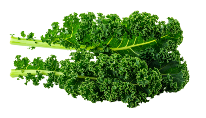 Close-up of two kale leaves with vibrant green color and textured, curly edges, isolated