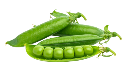 Close-up of several green pea pods, some whole, others with visible spherical peas