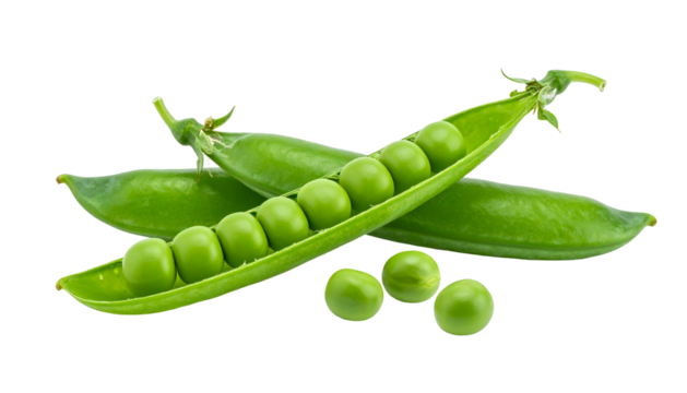 Close-up of green pea pods, one opened to reveal vibrant round peas. Isolated, black background