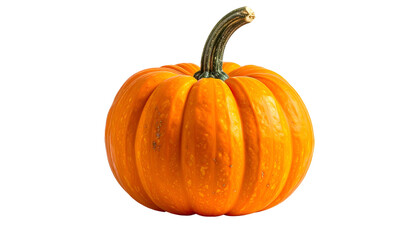 Vivid orange gourd, with ribbed skin and curved stem, isolated on a black background