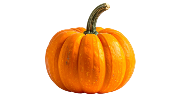 Vivid orange gourd, with ribbed skin and curved stem, isolated on a black background