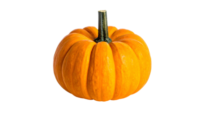 Vivid orange pumpkin, isolated against a black backdrop, showing ribbed texture