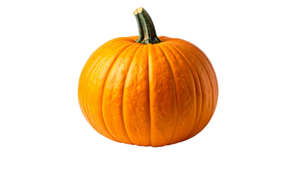 Close-up of a perfectly round, vibrant orange seasonal squash isolated against a black background