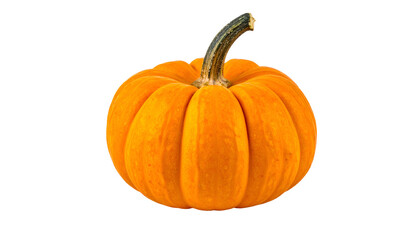 Close-up of a perfectly ripe, round, orange pumpkin with a dark, twisted stem