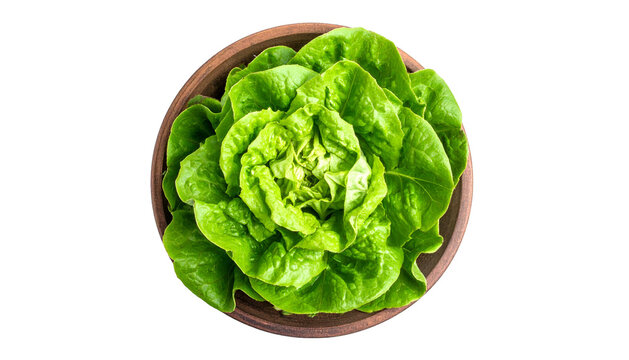 Overhead shot of a whole, vibrant, fresh green lettuce in a rustic brown bowl - Powered by Adobe