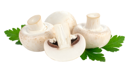 Close-up studio shot of a group of white button mushrooms with fresh green parsley