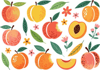 Create Set of colorful brush drawn peaches or apricots with leaves. Hand drawn funky naive fruit illustrations for collages, graphic design, posters, cards. Vector peaches and apricots with rough text