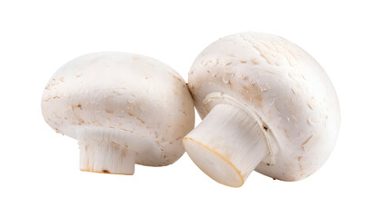Close-up studio shot of two white button mushrooms, isolated with dark background