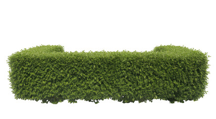 Green trimmed hedge with rounded ends isolated on a transparent background