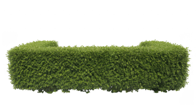 Green trimmed hedge with rounded ends isolated on a transparent background